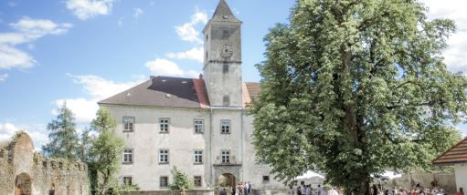 Schloss Eschelberg