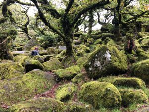 IMG-20190928-WA0010